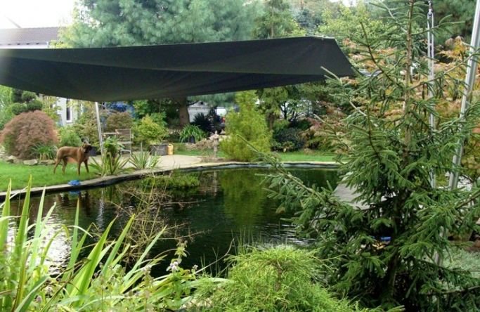 Sonnensegel elektrisch über Koiteich